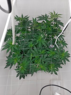 20231121_200608.jpg 20231121_200608.jpg