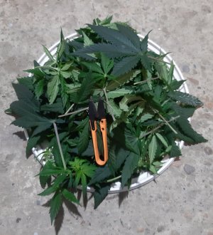 20231121_200829.jpg 20231121_200829.jpg