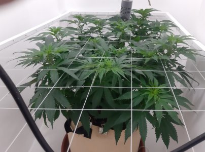 20231121_200844.jpg 20231121_200844.jpg