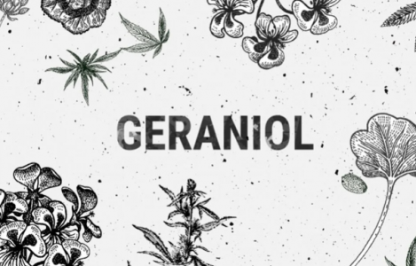 1702402767860.png 1702402767860.png