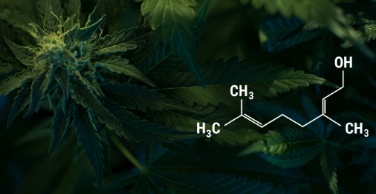 1702402870237.png 1702402870237.png