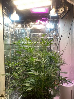 camphoto_1932422408.jpeg camphoto_1932422408.jpeg