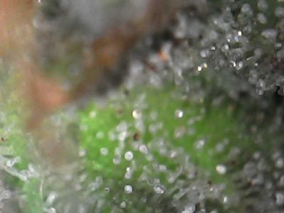 Photo_2023-12-20 17_28_16_978.JPG