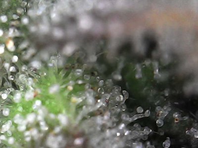 Photo_2023-12-20 17_24_46_735.JPG