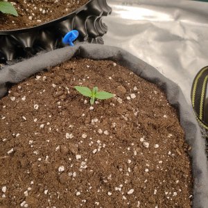 IMG20240101145812.jpg IMG20240101145812.jpg