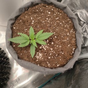 IMG20240107194240.jpg IMG20240107194240.jpg