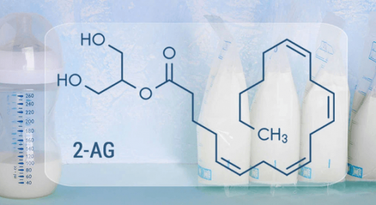 Эндоканнабиноиды в молоке