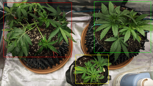 1704825568470.png 1704825568470.png