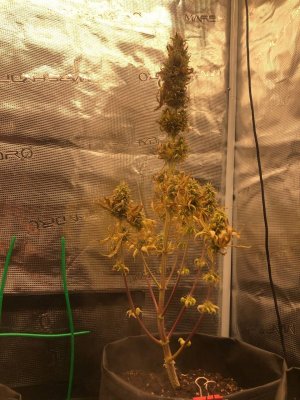 2024-01-17 20.18.13.jpg