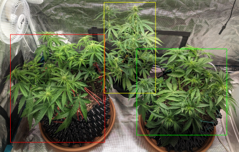 1705860850215.png 1705860850215.png