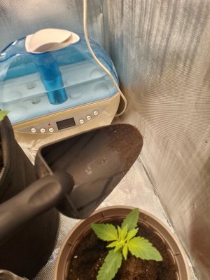 IMG_20240122_004306.jpg IMG_20240122_004306.jpg