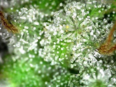 Sat Jan 20 19-51-06.jpg