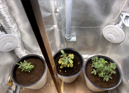 1706197217770.png 1706197217770.png