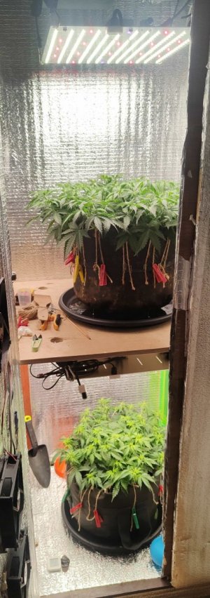 Общий план.jpg