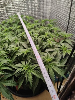 Возвращение рулетки в 3D.jpg