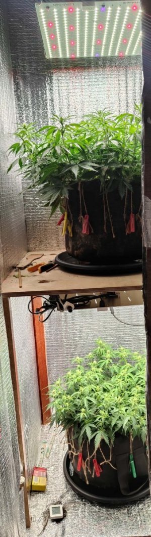 Общий план.jpg