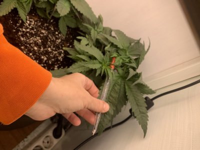 IMG_0157.jpeg IMG_0157.jpeg