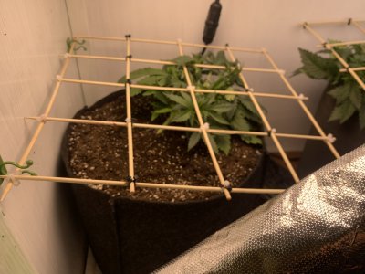 IMG_0164.jpeg IMG_0164.jpeg