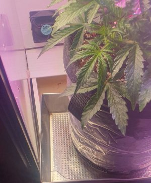 20240222_174118.jpg 20240222_174118.jpg