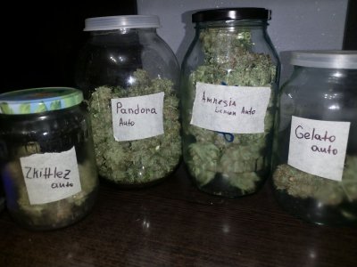 IMG_20220203_173452_959.jpg IMG_20220203_173452_959.jpg