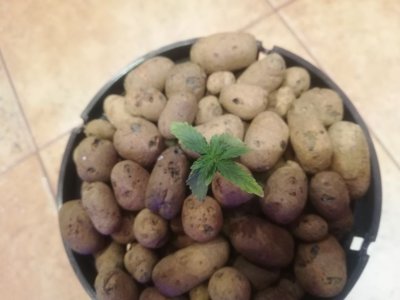 IMG_20220208_121911.JPEG IMG_20220208_121911.JPEG