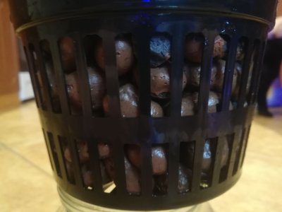 IMG_20220208_122708.JPEG IMG_20220208_122708.JPEG