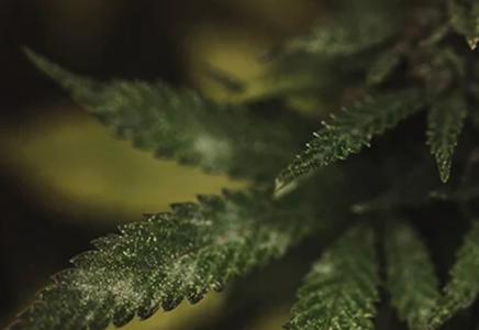 1645123942427.png 1645123942427.png