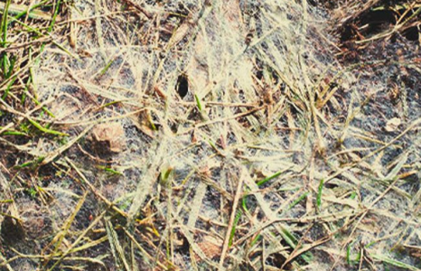 1645124139175.png 1645124139175.png