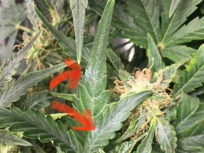 photo_2024-02-26_12-3.jpg photo_2024-02-26_12-3.jpg