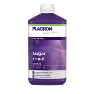 Снимок экрана 2024-03-01 в 12.58.26.png