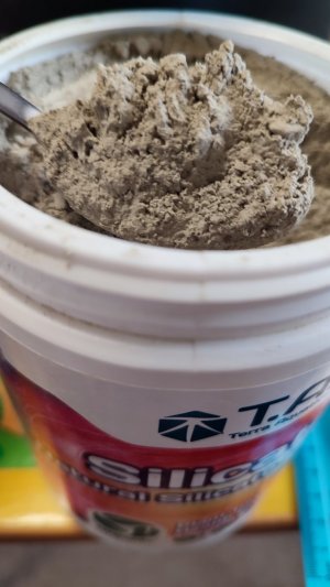 IMG_20240302_131634.jpg IMG_20240302_131634.jpg