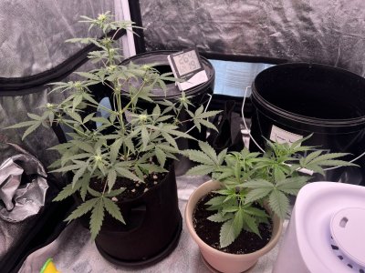 IMG_0118.JPG IMG_0118.JPG