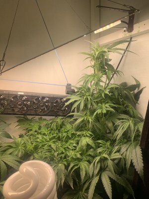 IMG_0560.jpeg IMG_0560.jpeg