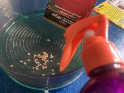 IMG_0619.jpeg IMG_0619.jpeg