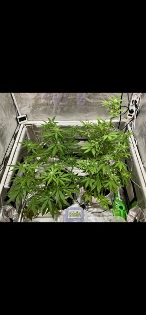 45 день (16.03.24).jpeg