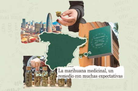 Правовой статус конопли в Испании