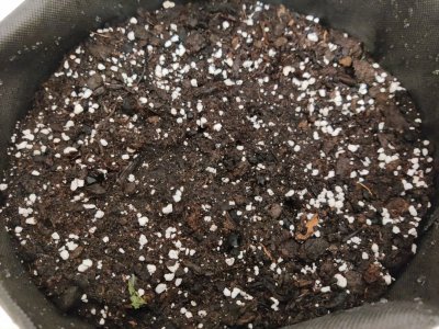 1000016451.jpg 1000016451.jpg