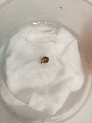 1000016696.jpg 1000016696.jpg