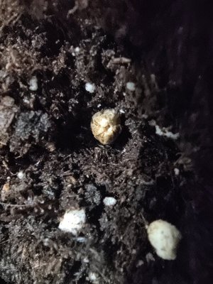 1000016724.jpg 1000016724.jpg