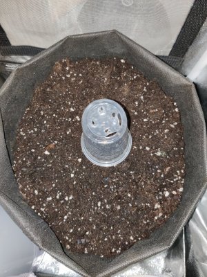 1000016726.jpg 1000016726.jpg