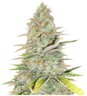 1712000466266.png 1712000466266.png