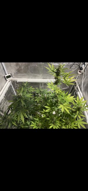 60 день (1.04.24).jpg