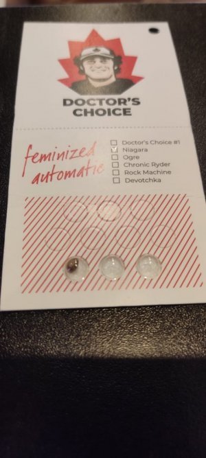 WhatsApp Image 2024-04-06 at 11.26.11 (1).jpeg