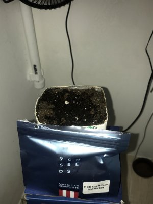 49D65664-4347-4A3F-BACC-FE10E68C93EA.jpeg 49D65664-4347-4A3F-BACC-FE10E68C93EA.jpeg