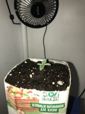 AEF62E0D-2A48-476F-BADF-42B49795A8CD.jpeg AEF62E0D-2A48-476F-BADF-42B49795A8CD.jpeg