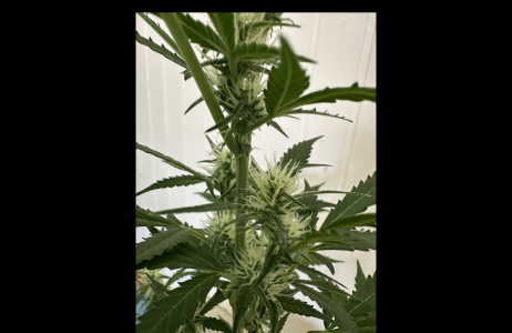 Снимок экрана 2024-04-11 в 07.48.30.png