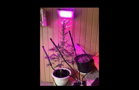 Снимок экрана 2024-04-11 в 10.12.03.png