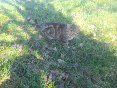 IMG_3693.jpeg IMG_3693.jpeg