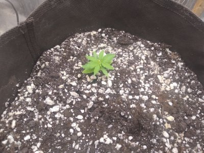 17133627242839156589418407038676.jpg 17133627242839156589418407038676.jpg