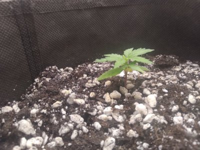 17133627689203144008313528346793.jpg 17133627689203144008313528346793.jpg